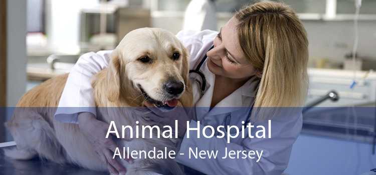Animal Hospital Allendale - New Jersey