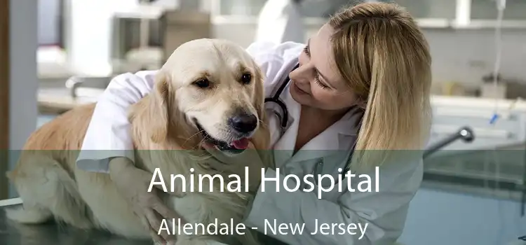 Animal Hospital Allendale - New Jersey