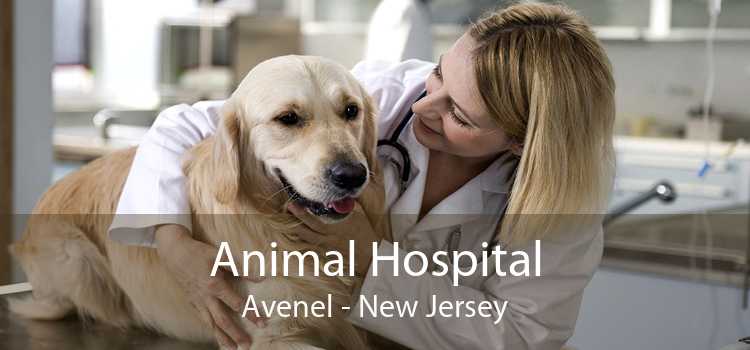 Animal Hospital Avenel - New Jersey