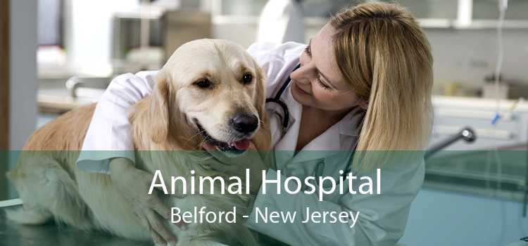 Animal Hospital Belford - New Jersey