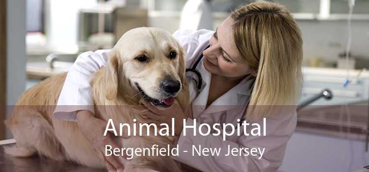 Animal Hospital Bergenfield - New Jersey