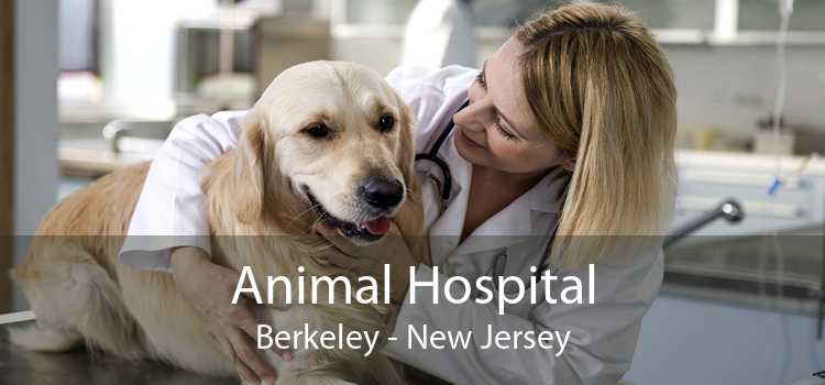 Animal Hospital Berkeley - New Jersey