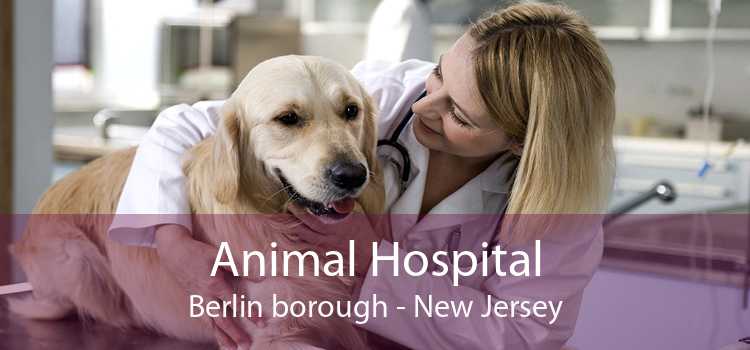 Animal Hospital Berlin borough - New Jersey