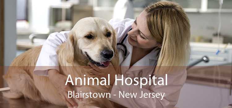 Animal Hospital Blairstown - New Jersey