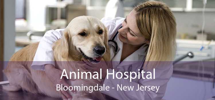 Animal Hospital Bloomingdale - New Jersey