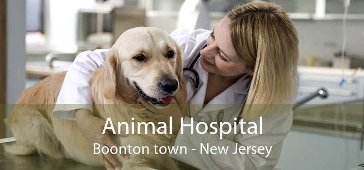 Animal Hospital Boonton town - New Jersey