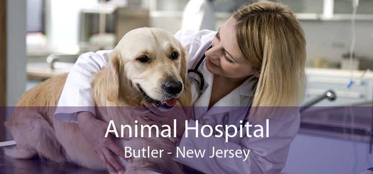 Animal Hospital Butler - New Jersey