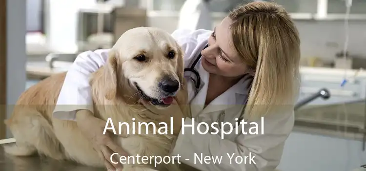 Animal Hospital Centerport - New York