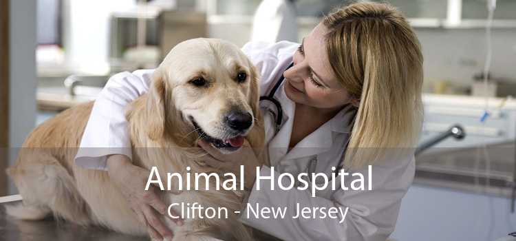 Animal Hospital Clifton - New Jersey
