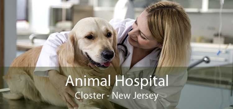 Animal Hospital Closter - New Jersey