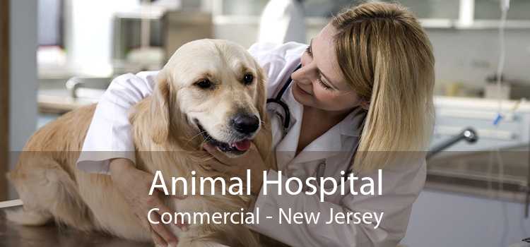 Animal Hospital Commercial - New Jersey