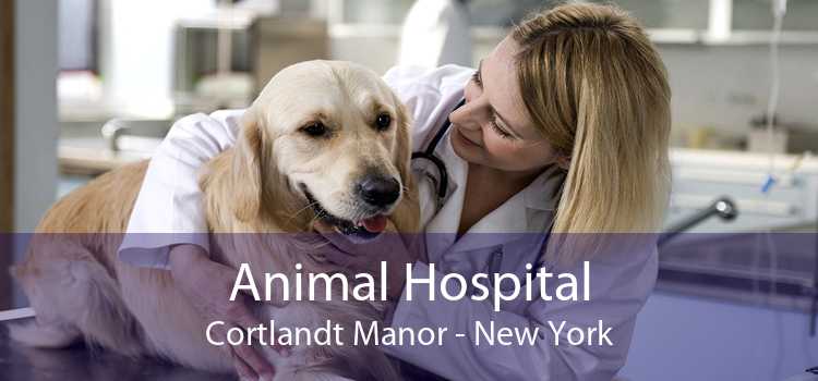 Animal Hospital Cortlandt Manor - New York