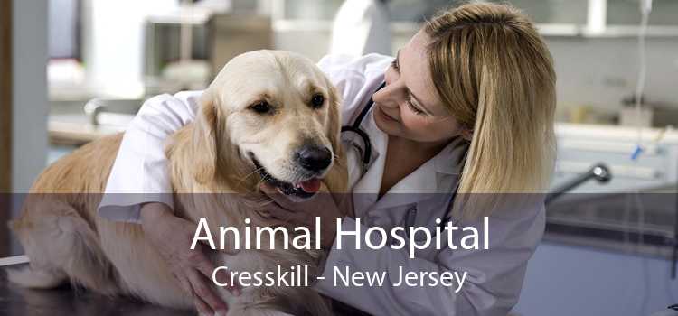 Animal Hospital Cresskill - New Jersey