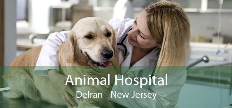 Animal Hospital Delran - New Jersey