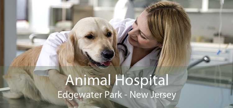 Animal Hospital Edgewater Park - New Jersey