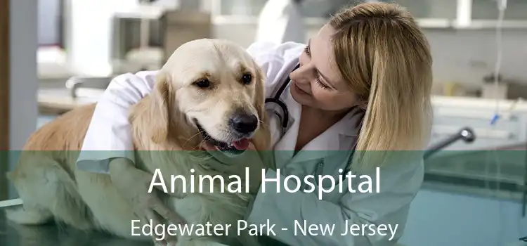 Animal Hospital Edgewater Park - New Jersey