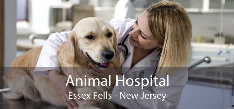 Animal Hospital Essex Fells - New Jersey