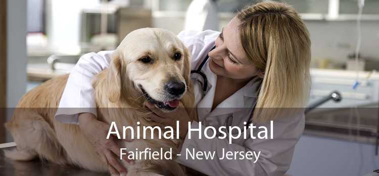 Animal Hospital Fairfield - New Jersey