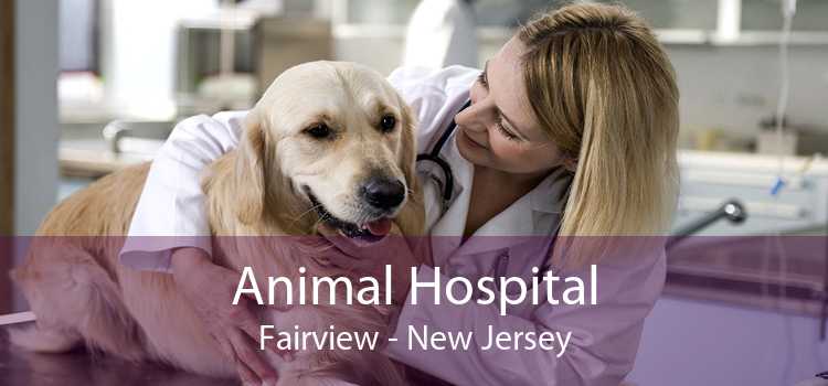 Animal Hospital Fairview - New Jersey