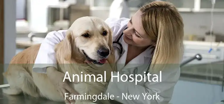 Animal Hospital Farmingdale - New York