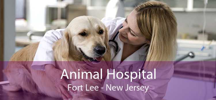 Animal Hospital Fort Lee - New Jersey