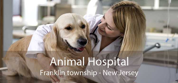 Animal Hospital Franklin township - New Jersey