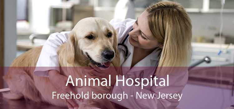 Animal Hospital Freehold borough - New Jersey