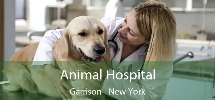 Animal Hospital Garrison - New York