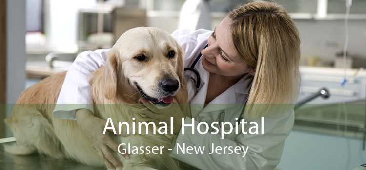 Animal Hospital Glasser - New Jersey