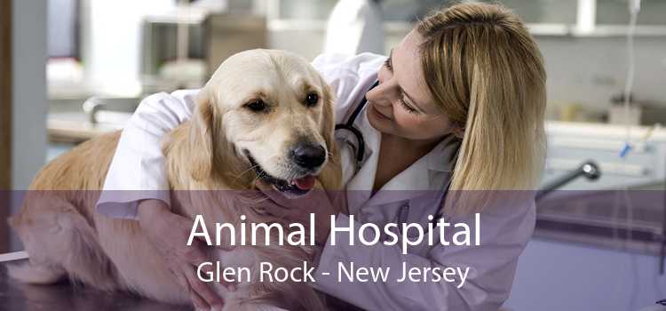 Animal Hospital Glen Rock - New Jersey