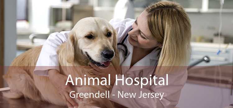 Animal Hospital Greendell - New Jersey