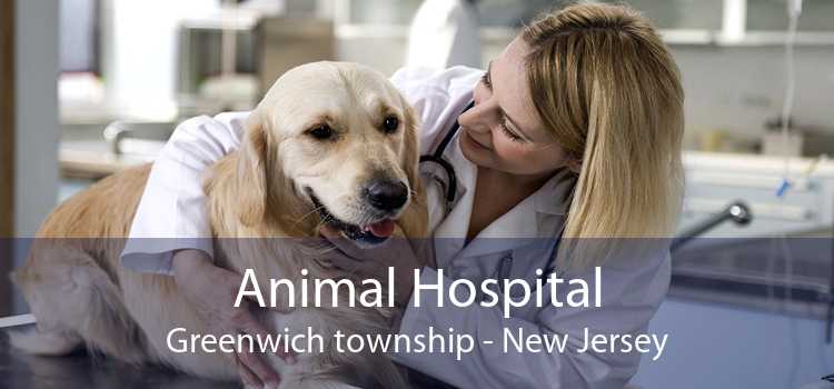 Animal Hospital Greenwich township - New Jersey