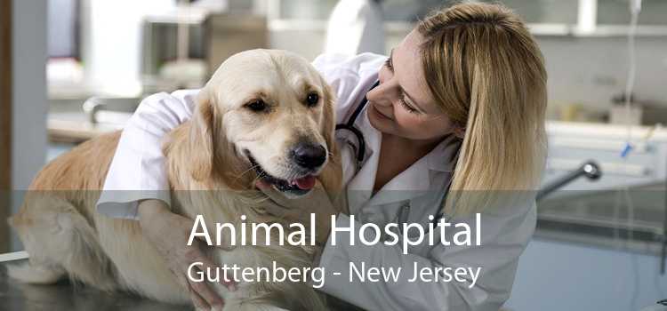 Animal Hospital Guttenberg - New Jersey