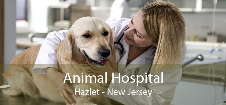 Animal Hospital Hazlet - New Jersey