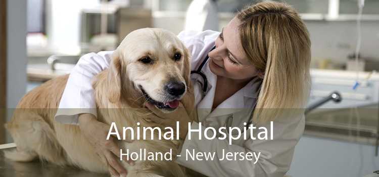 Animal Hospital Holland - New Jersey
