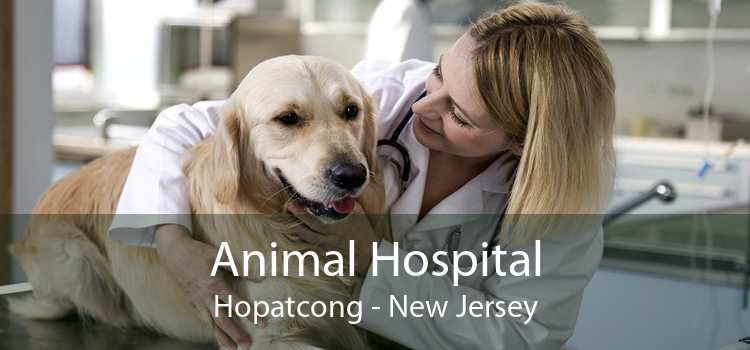 Animal Hospital Hopatcong - New Jersey