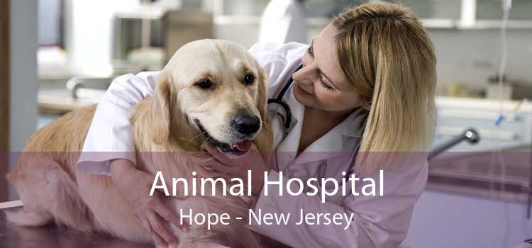 Animal Hospital Hope - New Jersey