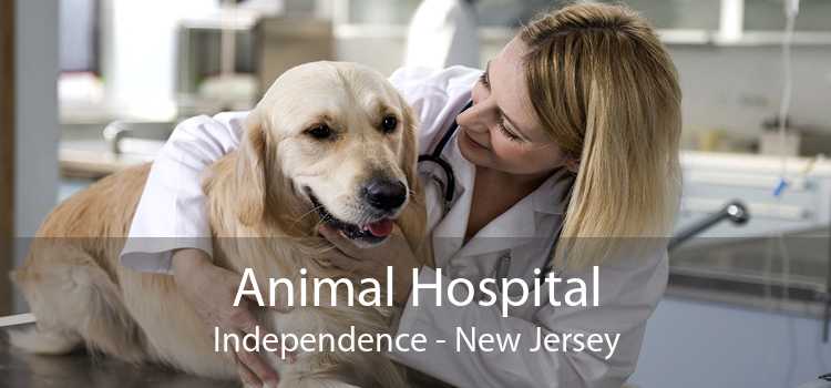 Animal Hospital Independence - New Jersey