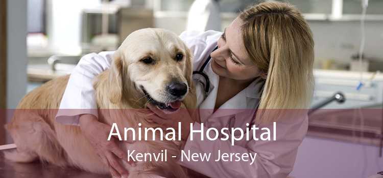 Animal Hospital Kenvil - New Jersey