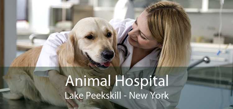 Animal Hospital Lake Peekskill - New York