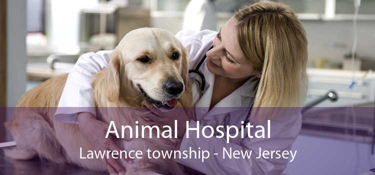 Animal Hospital Lawrence township - New Jersey