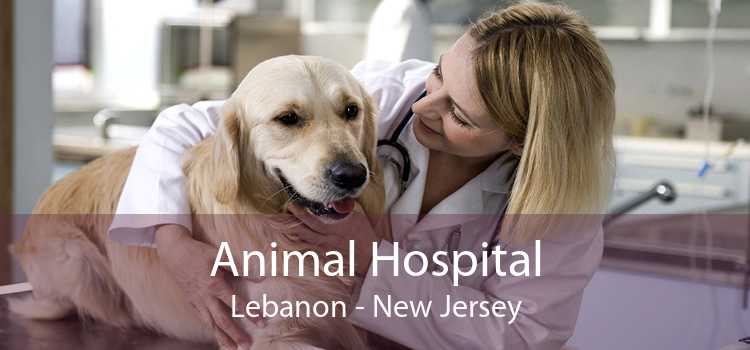 Animal Hospital Lebanon - New Jersey