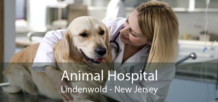 Animal Hospital Lindenwold - New Jersey