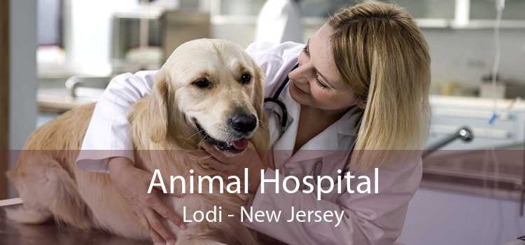 Animal Hospital Lodi - New Jersey