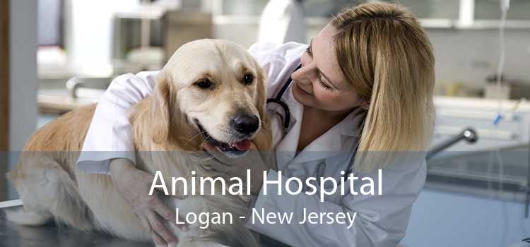 Animal Hospital Logan - New Jersey