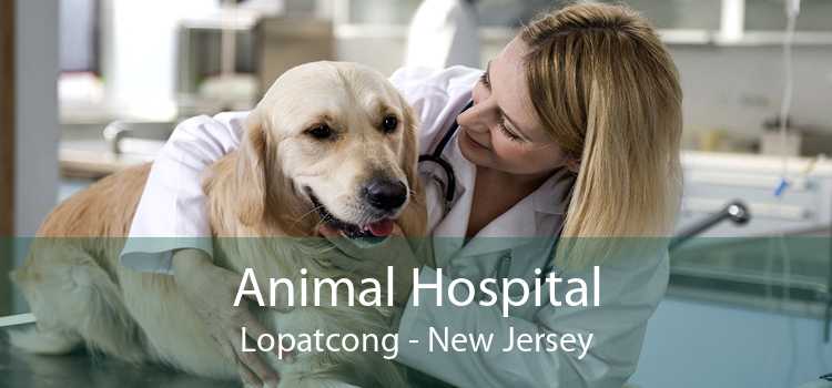 Animal Hospital Lopatcong - New Jersey