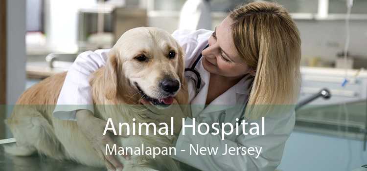 Animal Hospital Manalapan - New Jersey