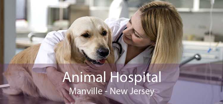 Animal Hospital Manville - New Jersey