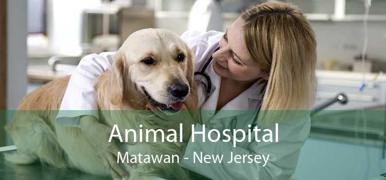 Animal Hospital Matawan - New Jersey
