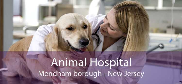 Animal Hospital Mendham borough - New Jersey